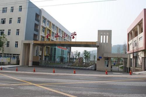 重庆最好十大小学,重庆十大好小学