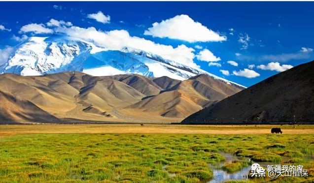 阿拉尔将成为南疆最大的城市,南疆阿拉尔市