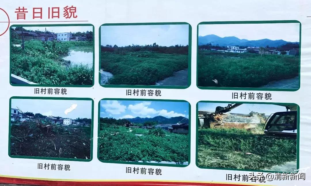 三坑75岁“拳痴”重出江湖？厉害！