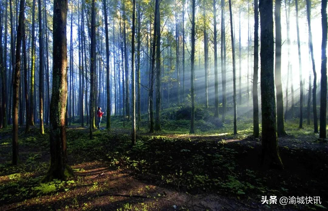 重庆无症状感染者最新情况,重庆无症状感染者在哪个区