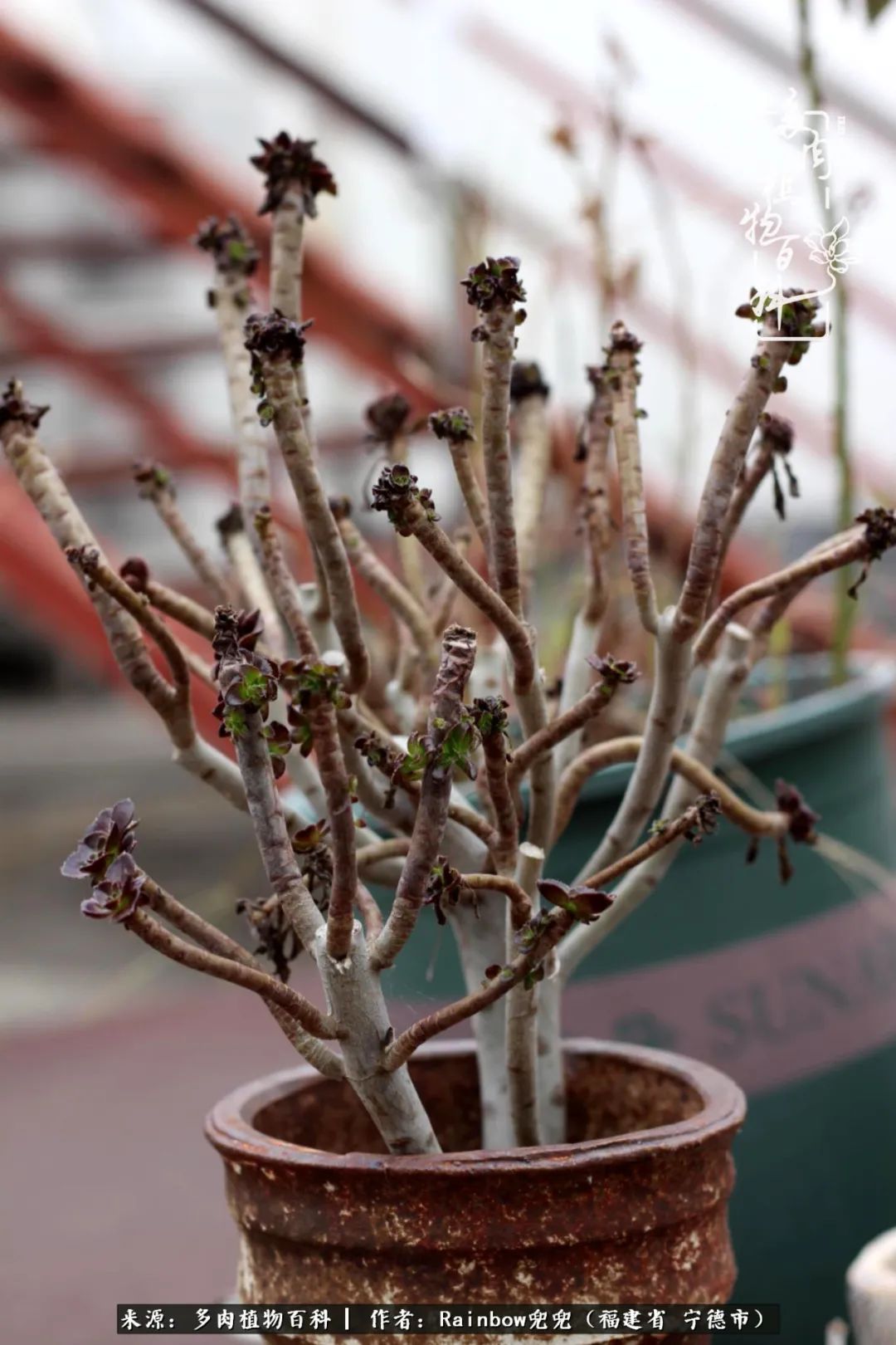 岁月无波澜余生不悲欢是啥意思,愿你岁月无波澜敬我余生无悲欢