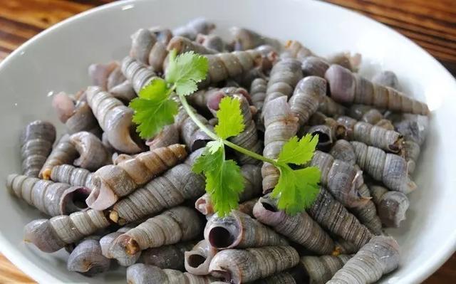 史上最全面的海鲜大咖,史上最全海鲜视频