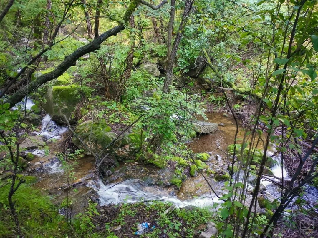 徒步穿越北驼梁完整版,穿越花海古道游记