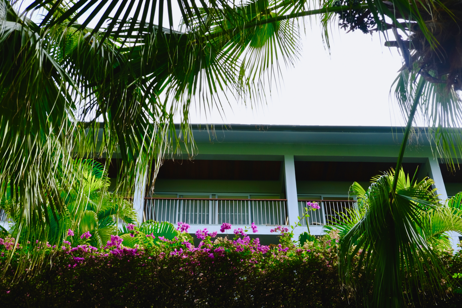 三亚旅行笔记|才刚离开,就开始期待下一次