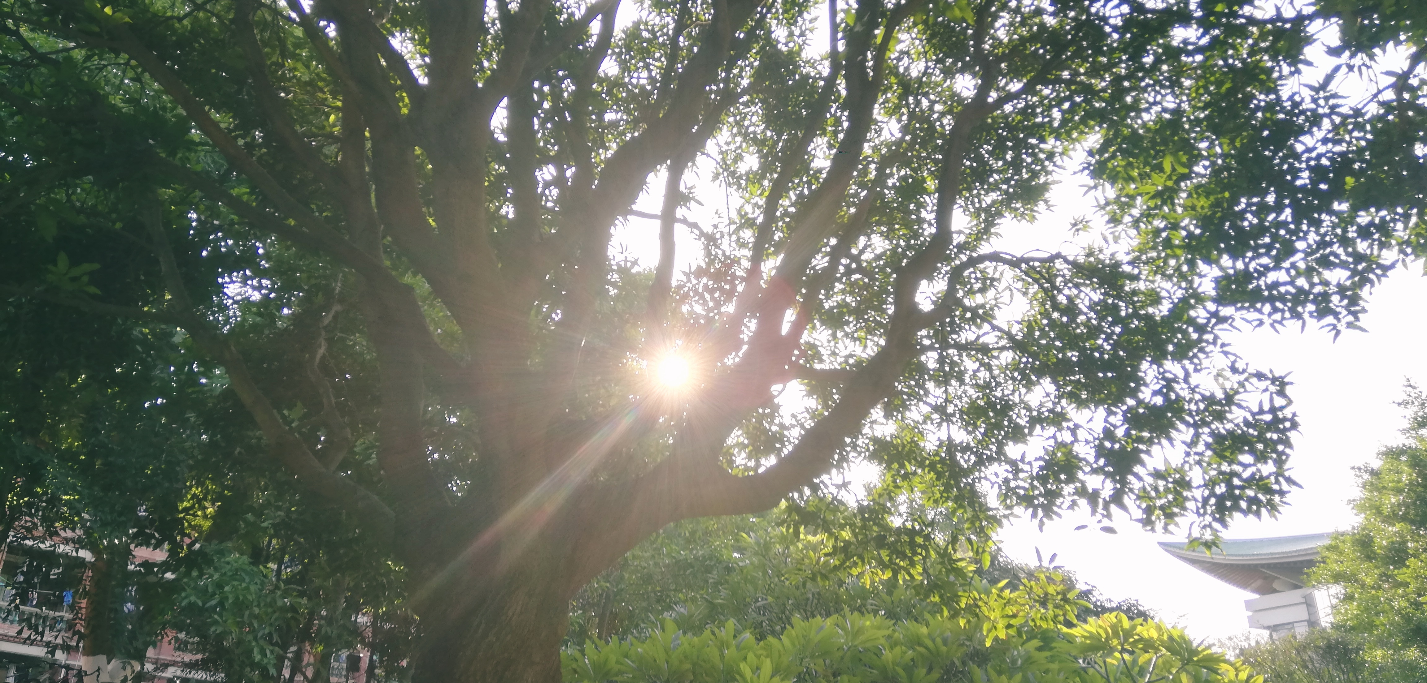 我喜欢摄影的三个原因,浅谈摄影技术与艺术