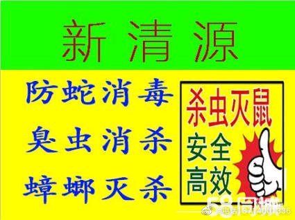 仁和区专业灭鼠灭白蚁除蟑螂公司,惠州上门灭白蚁公司厂家