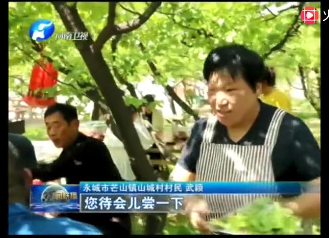 河南永城：乡村振兴正当时《武颖和她的“杏花源”》