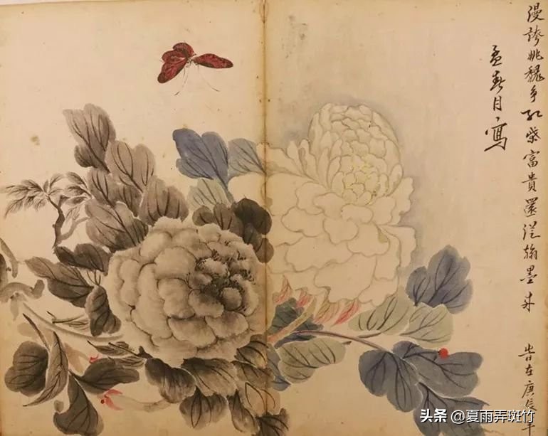 云南近代名人杨绍诚,云南古代名人杨铭柱