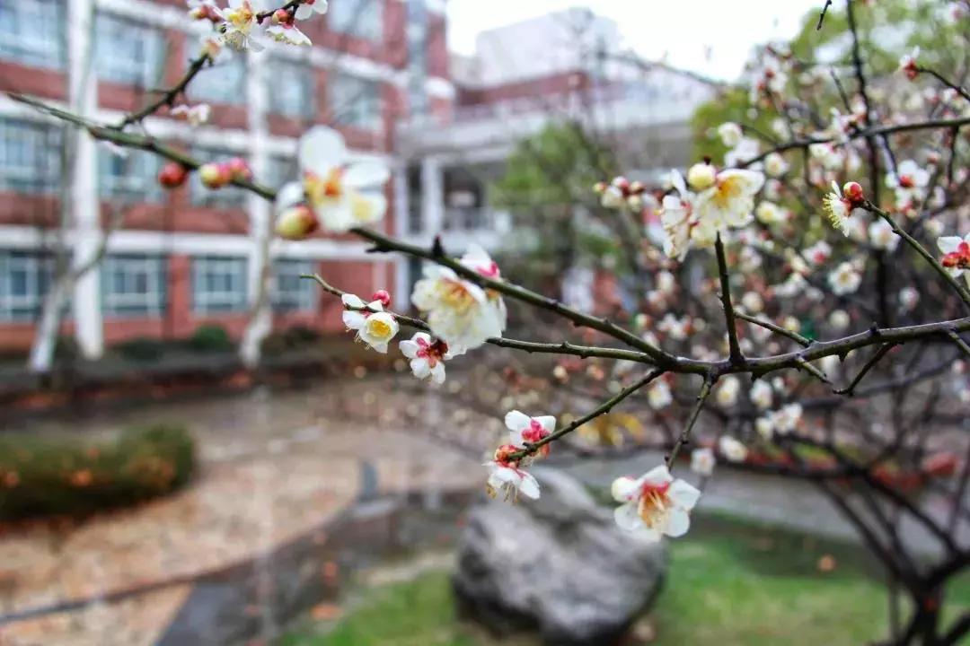 武汉科技大学城市学院报名时间,武汉科技大学城市学院的办学条件