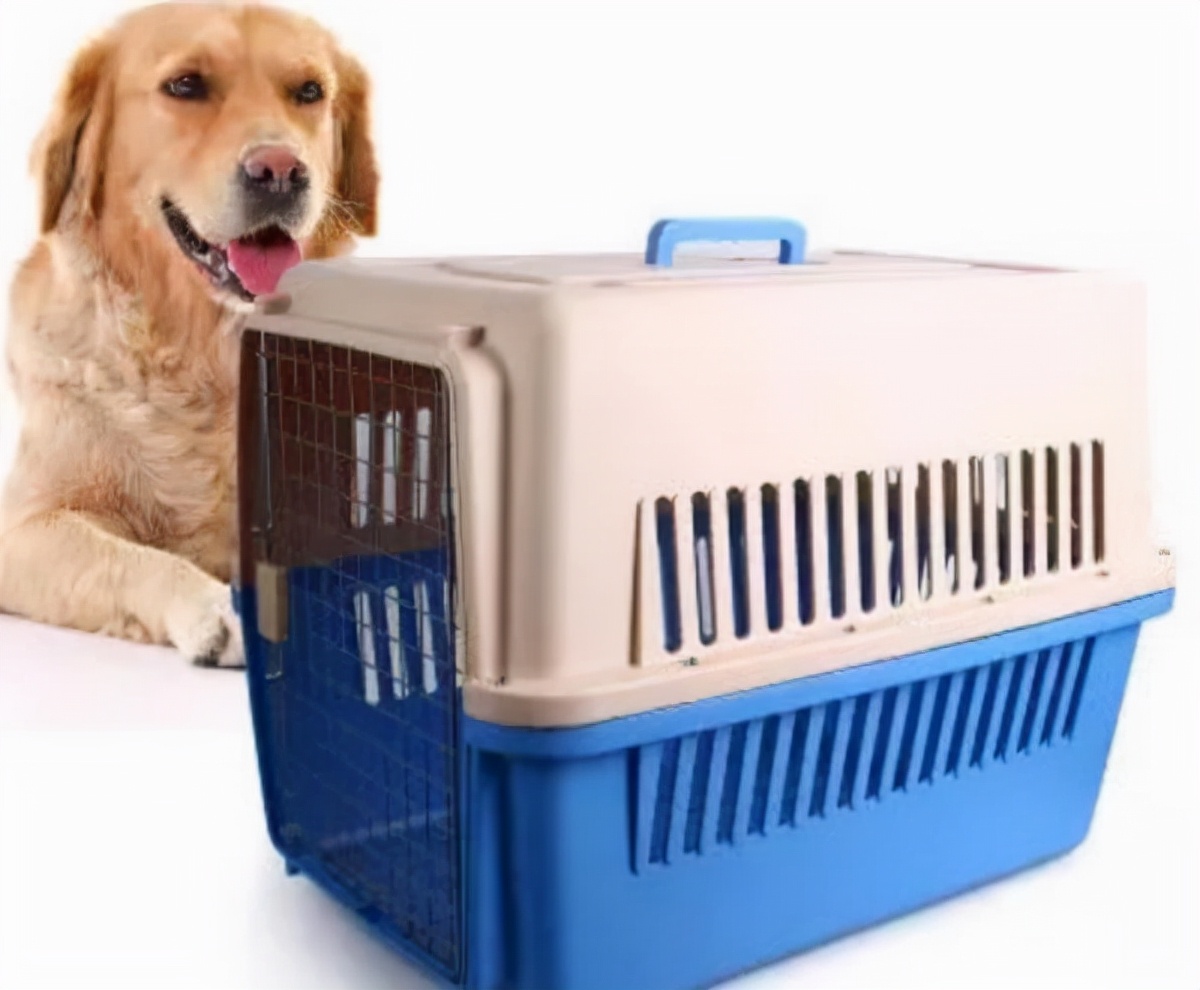 快递怎么运送狗狗,怎么运输狗狗