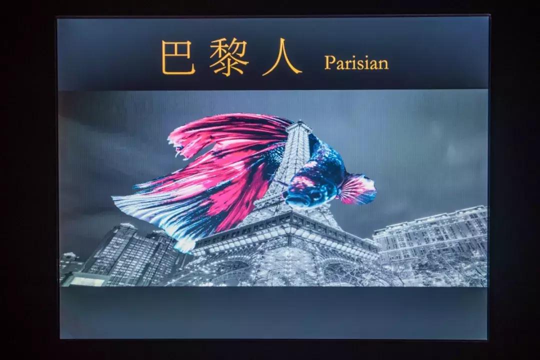 斥资1500万!人广惊现①家*场赌**火锅,明星、赌王千金都来打call