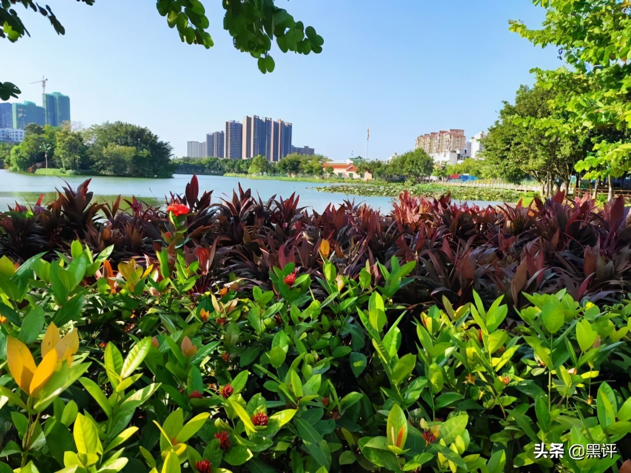 iphone12黑解机优缺点,iphone12磨砂膜的优缺点