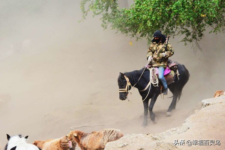 有了这攻略,自驾*藏西**游省心很多