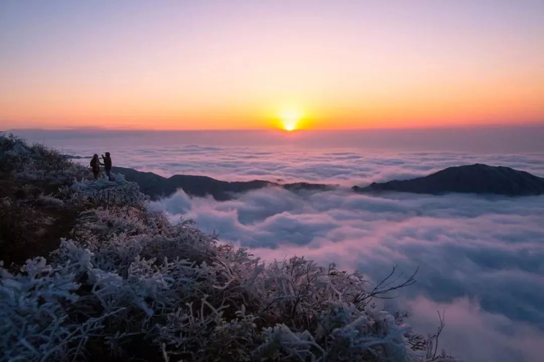 世界看湖南,世界看湖南2017视频