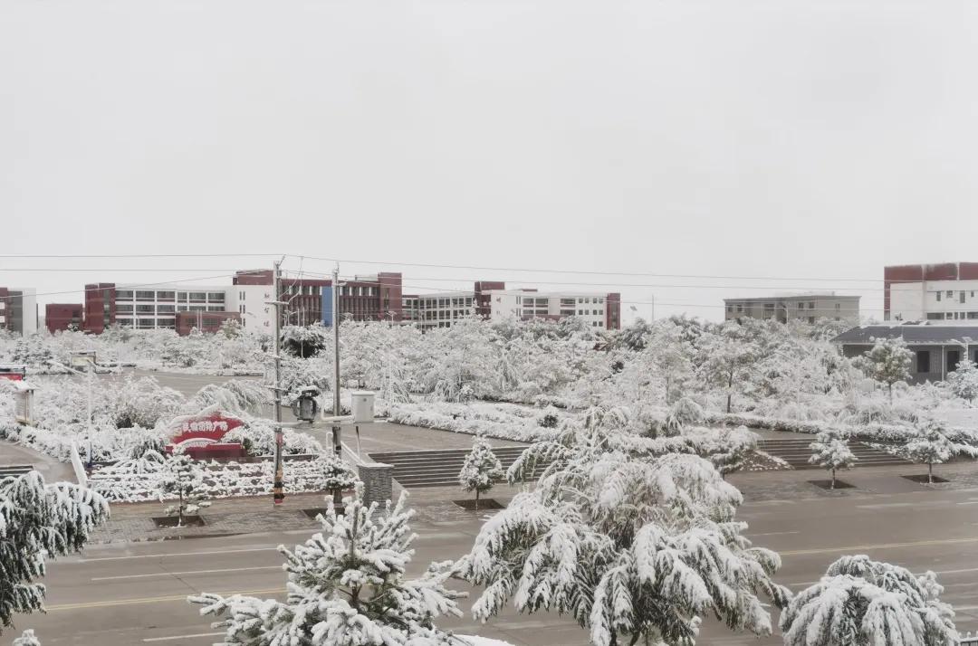 平凉崆峒区四路车现在停运了吗,平凉长途客车停运了吗