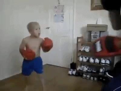 陈鹤皋疯狗拳自由搏击,陈鹤皋疯狗拳宗师