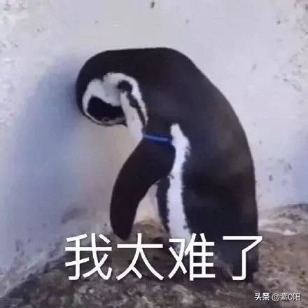 你有想过以后的职业规划吗,适合女孩子的职业规划