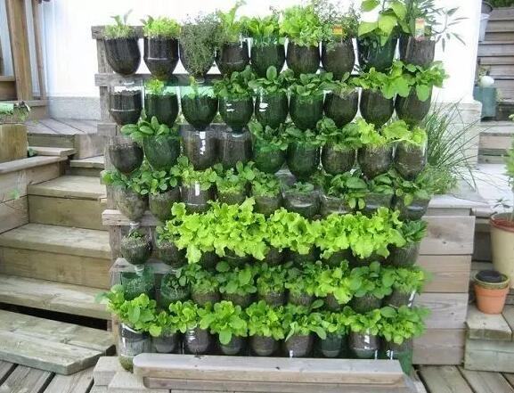 自制养花滴水瓶教程图片,手工自制花瓶养花教程图片