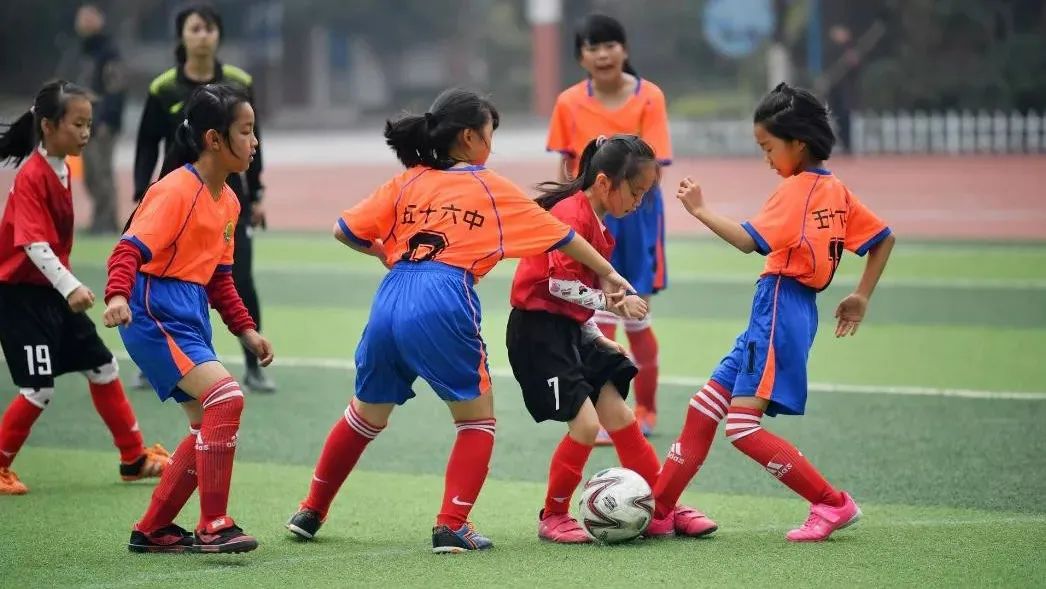 体育类的就业率高吗,学体育就业前景如何