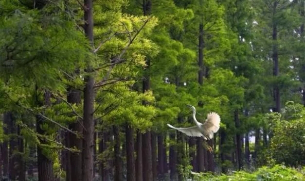 常熟虞山灵异故事,常熟虞山的故事