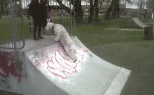 球不是这样踢滴搞笑图片,足球趣图搞笑图片