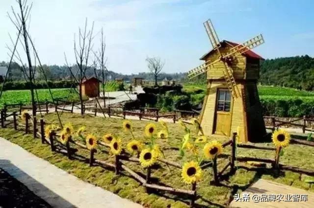 变态的日本农业:敬畏自然、超前思维、死磕单品!