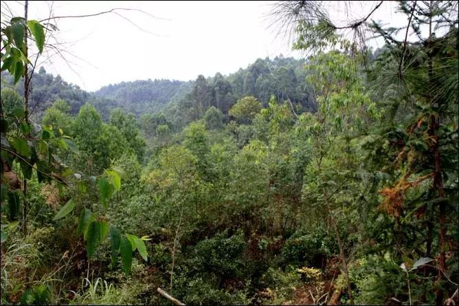 乐山市生态文明,庆祝新中国成立70周年特辑宣讲