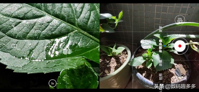 1亿像素100w快充手机,1亿像素100w快充120hz超曲屏