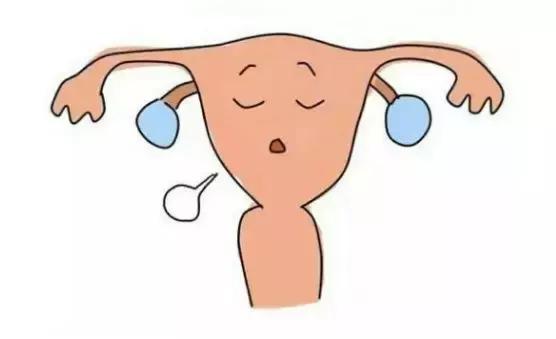 林志玲冻卵了吗,林志玲生下孩子了吗