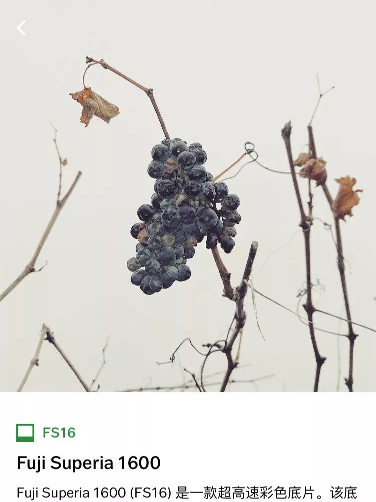 摄影小白适合拍什么,摄影小白拍人像用什么好