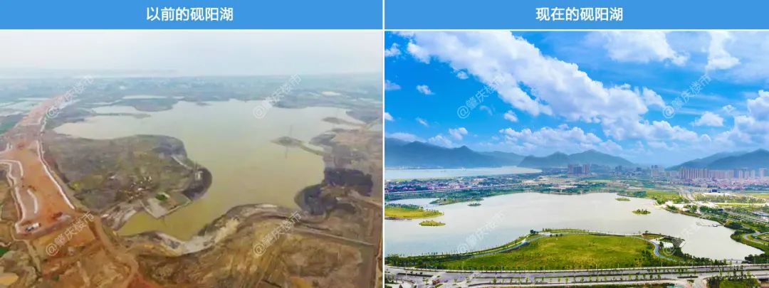 我为何看好万科,广东肇庆新区最新视频