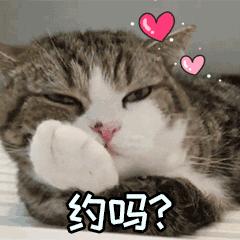 广东避开人潮旅游景点,拒绝人潮小众地推荐