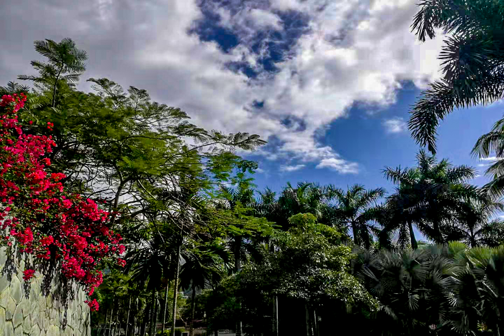 广东旅游分享,海南旅游分享