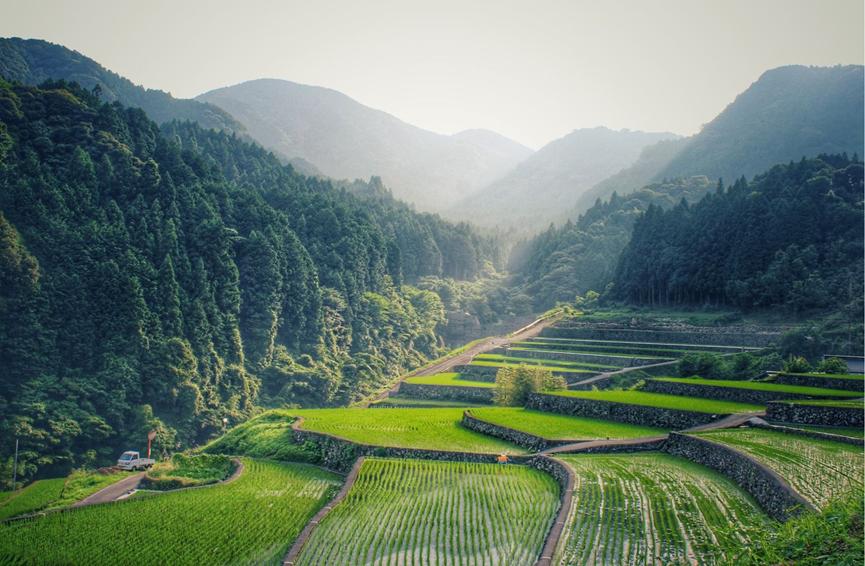 日本九州大学和福冈大学,日本九州大学与西南大学
