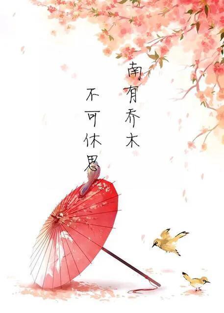 执子之手诗经典语录,诗经经典佳句解析