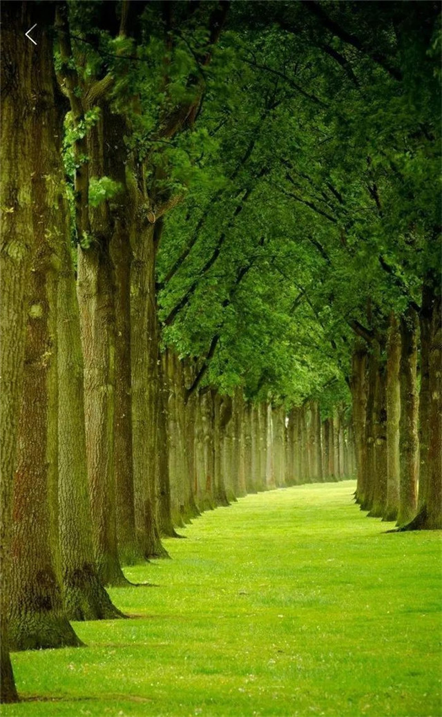 缓解眼睛疲劳动态图壁纸,好看的手机壁纸护眼高清图文