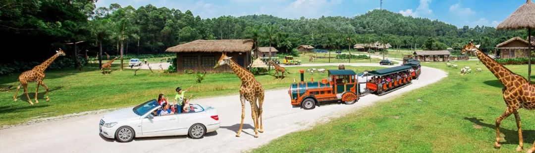 一日长隆野生动物园旅游攻略,长隆野生动物园旅游攻略三天两夜