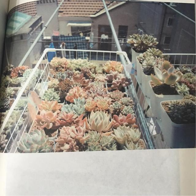 刘同对于孤独的理解,你的孤独虽败犹荣刘同