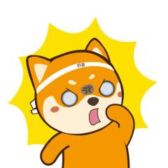 日本奈良的鹿有多厉害,日本奈良梅花鹿