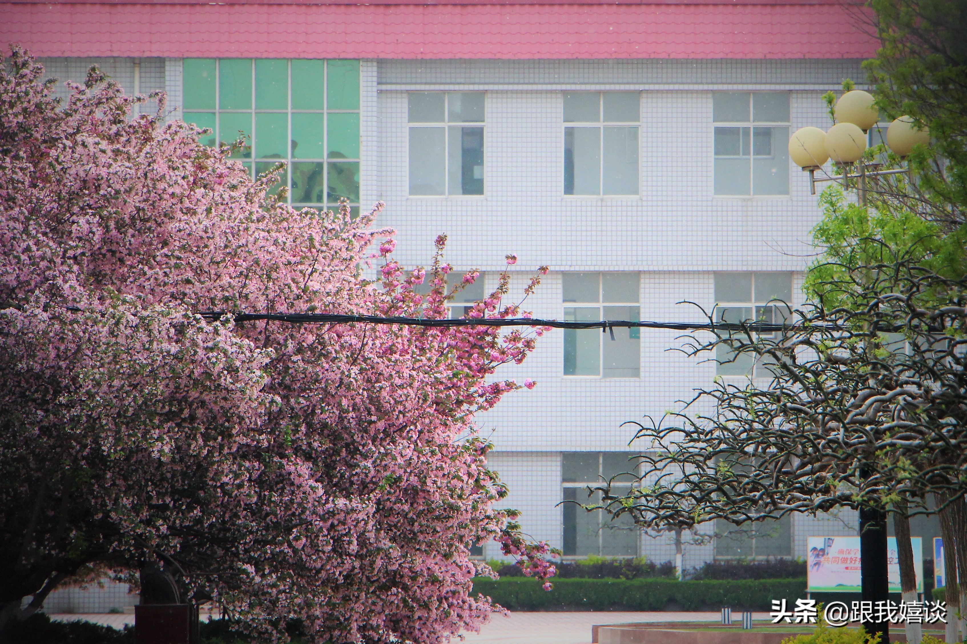 东营市第二中学安全教育宣传,东营油田胜利二中开学