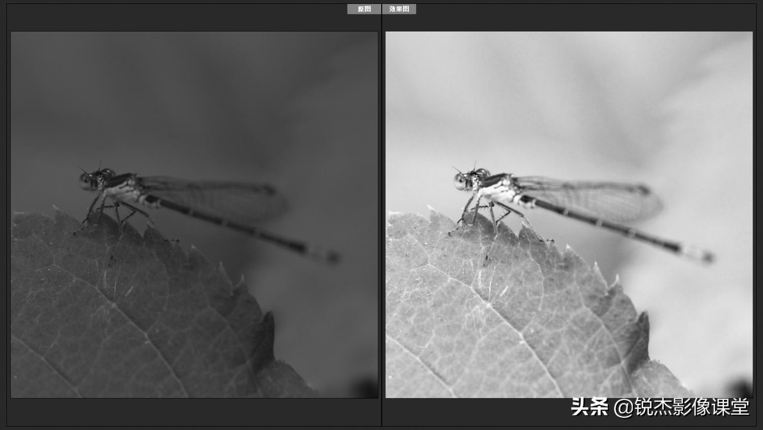 ps怎样调出高质量的黑白照片风景,ps如何给黑白照片上的人物上色