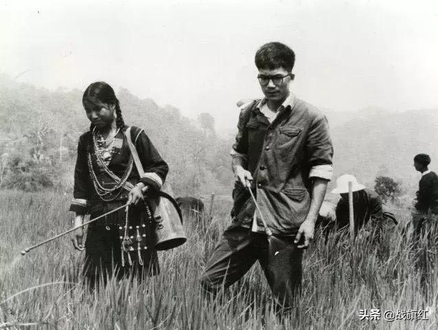 水牛深受蚂蟥之害,大学生好心涂敌敌畏,不料水牛中毒身亡