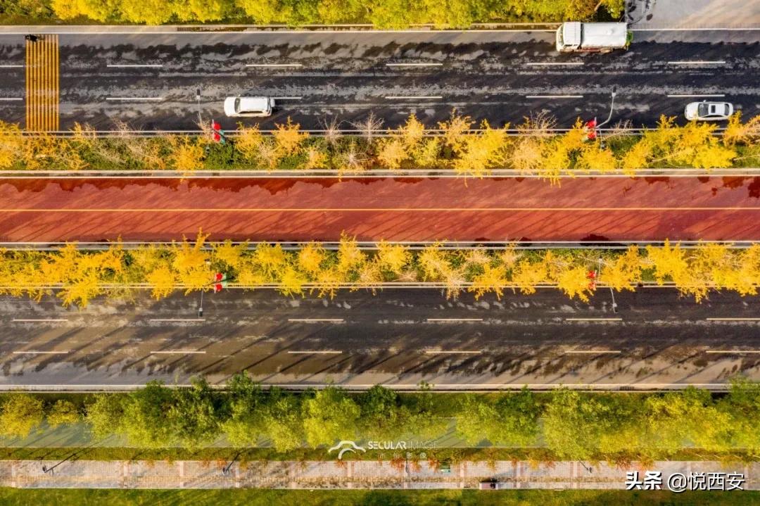 沣东新城道路规划图高清,西咸新区沣东新城镐京道路规划