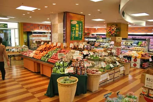 日本省钱妙招1000例,几月份去日本旅游最省钱