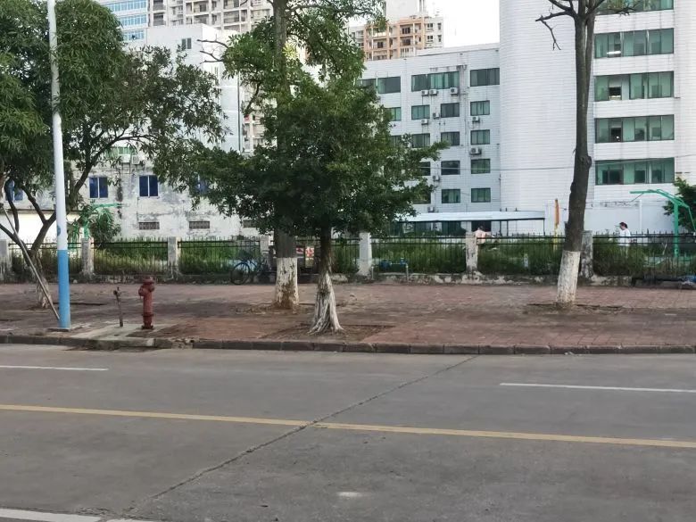 钦州港这块地已经成了菜地？网友提议建成大家受益的球场