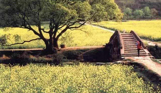 藏在山里苏州民宿,苏州一湖一宅民宿自由行热门攻略