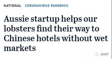 中国游客抵达日本品尝海鲜,中国吃货到国外