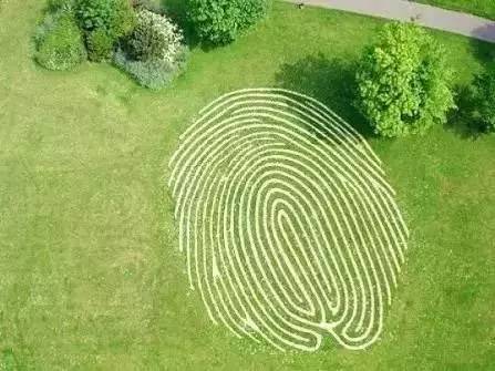 花园草坪怎么种植,花园草坪的种植与养护经验大总结