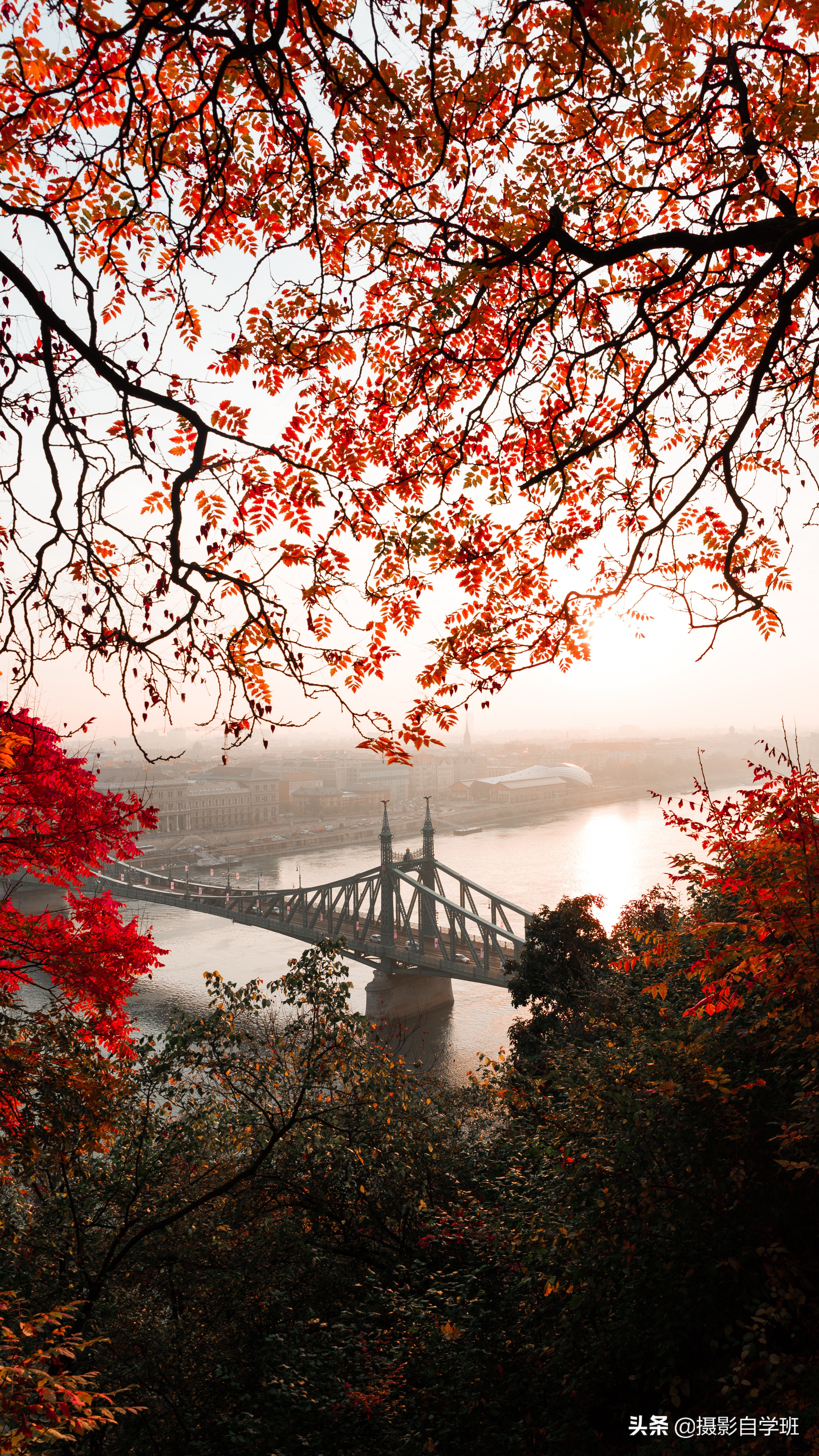 一座桥拍照技巧,如何拍桥的照片风景