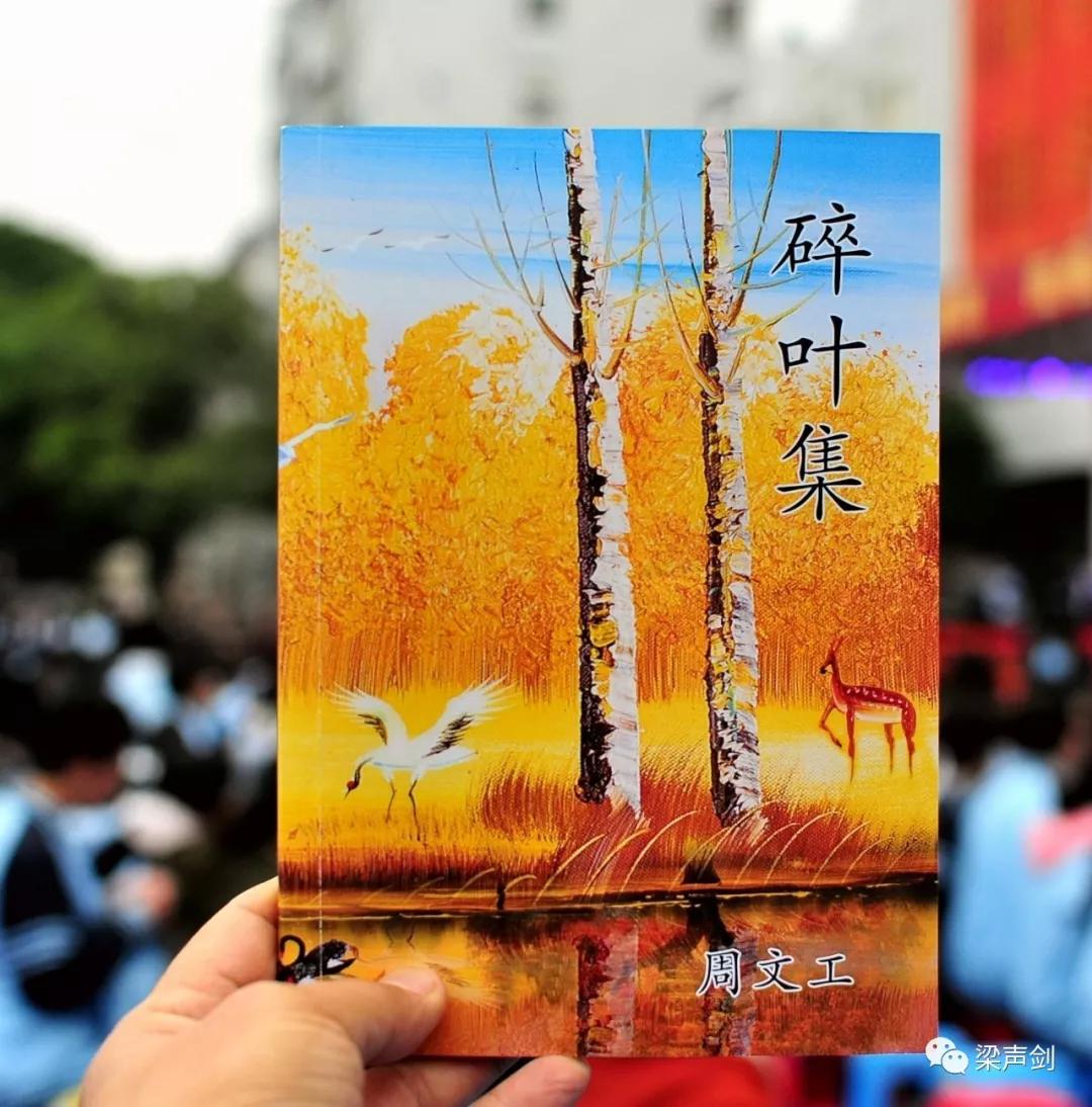 南宁三中120周年校庆视频,南宁33中校庆